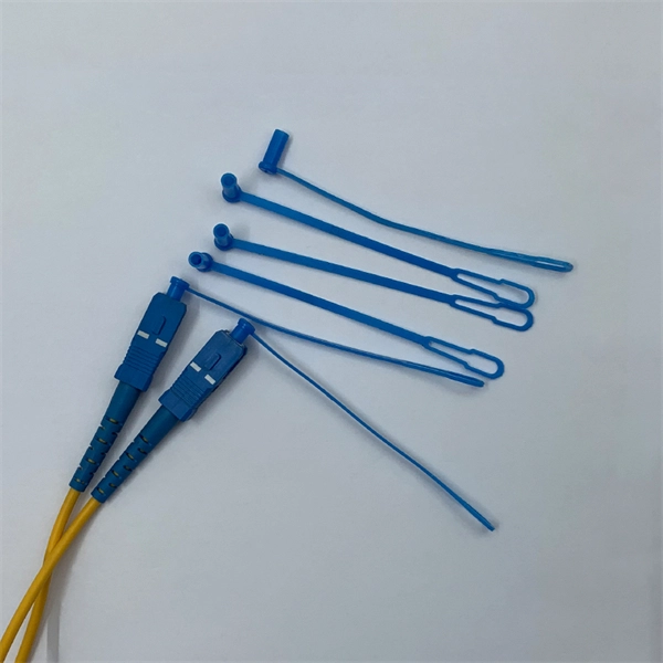 Raman Fiber Optic Sensor Monitoring Technology in Madagascar