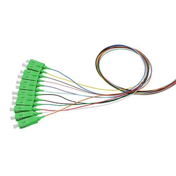 What equipment is inside the fiber distribution box