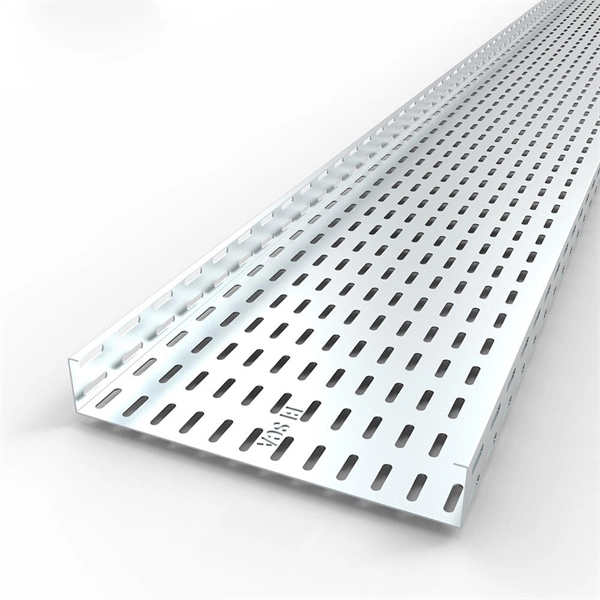Detailed Structure of Analog Optical Module